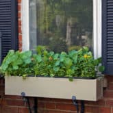 window-box-2
