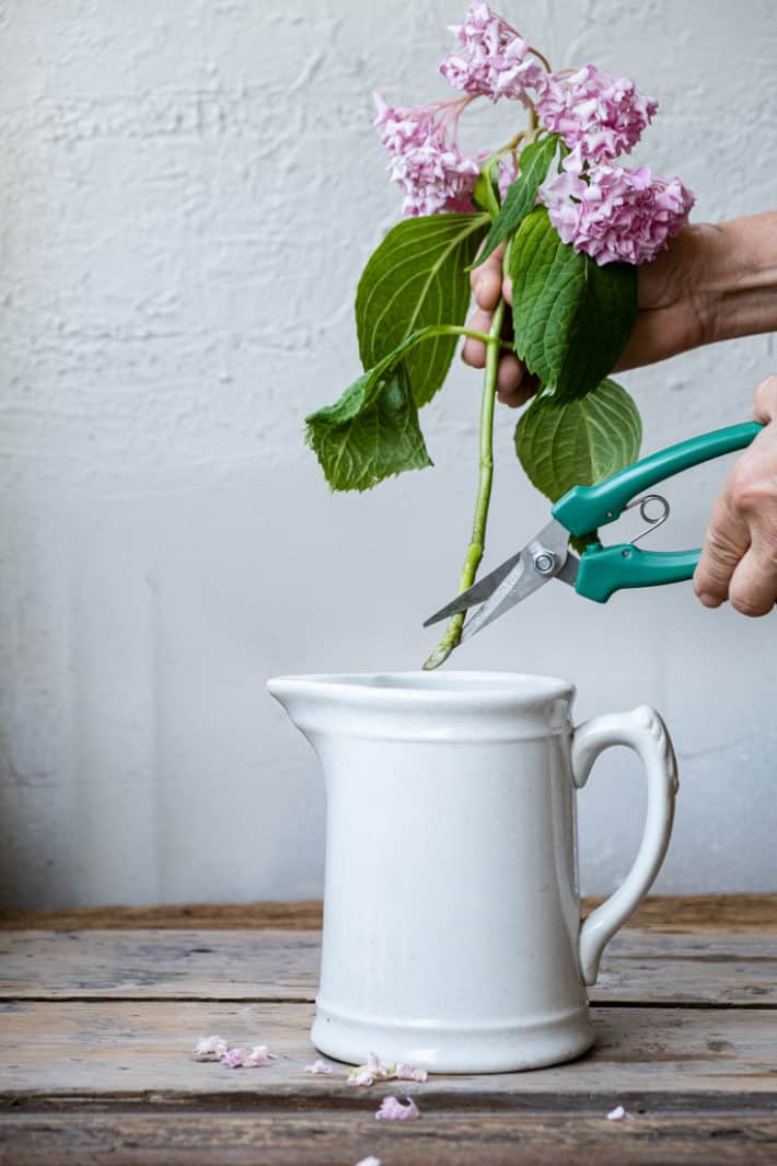 Cutting an inch off the bottom of a flower stem to help it take up more water.