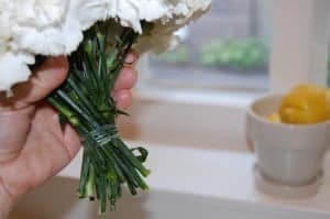 clear elastic
