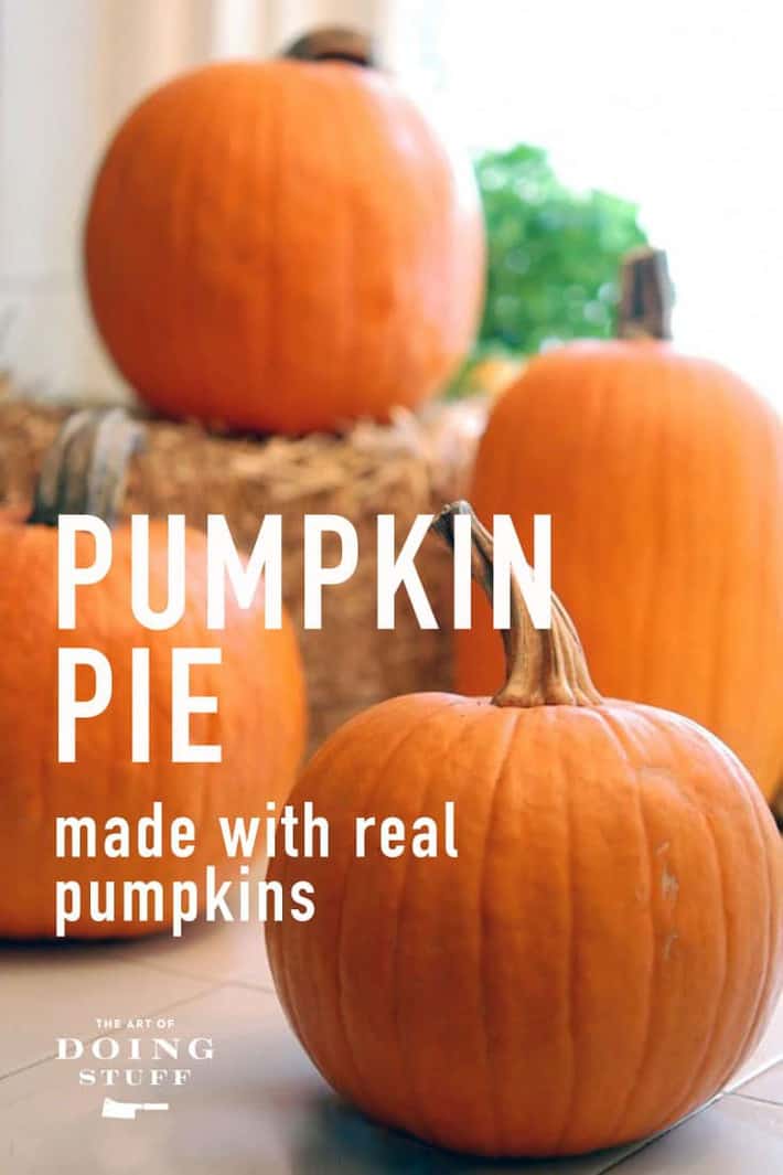 How to Make  a Pumpkin Pie from Scratch with a Real Pumpkin