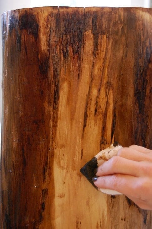 Rubbing walnut stain on walnut stump table.