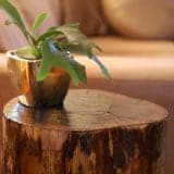 Stumped <br /> How to Make a Tree Stump Table