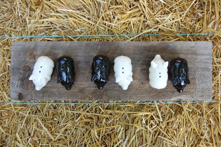 Overhead shot of pig shaped ceramic salt and pepper shakers on wood board sitting on bale of straw.