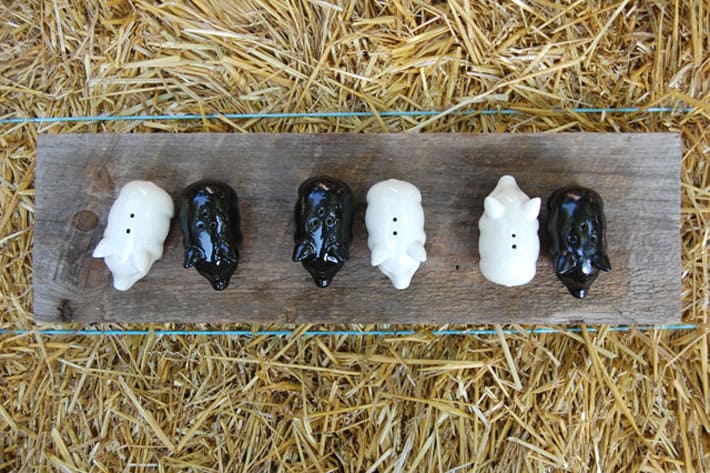 The salt and pepper rule. Which goes in which shaker? Overhead shot of pig shaped ceramic salt and pepper shakers on wood board sitting on bale of straw.