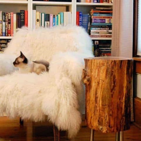 Siamese cat sits in a fluffy chair beside tree stump table.