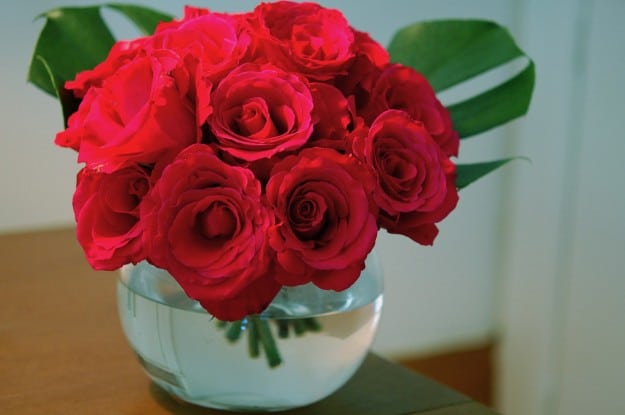 A dozen red roses with the stems cut short, in a round clear bubble vase.