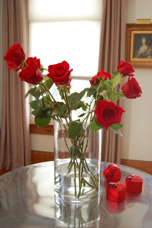 A dozen red roses in a clear vase, that's too big for them.  Roses are flopping and bland looking.