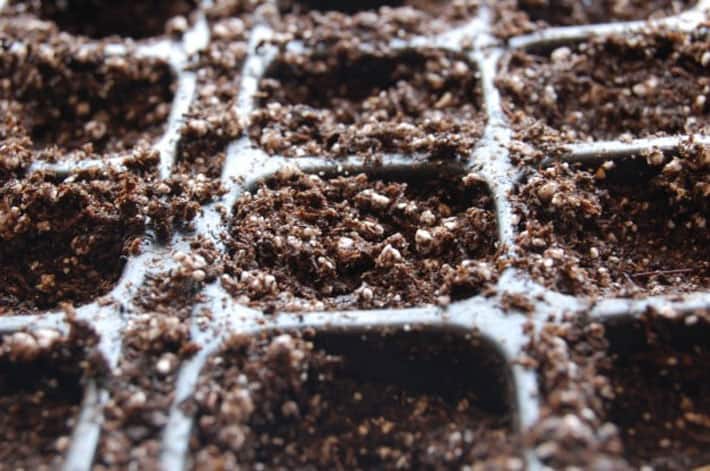 How to start vegetables from seed. Seed starting tray filled with soil and planted, ready to germinate.