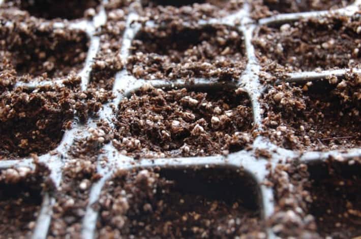 Seed starting tray filled with soil and planted, ready to germinate.