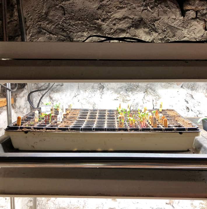 Canadian fine grow lights deals