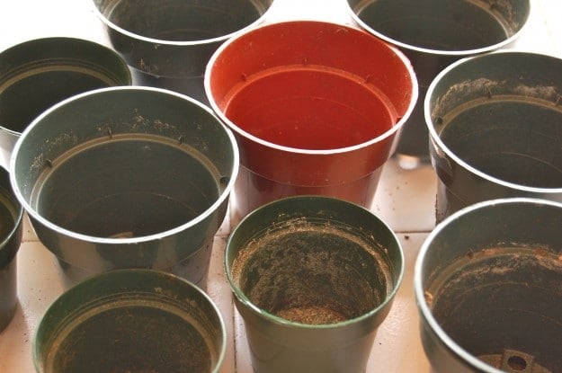 plastic pots