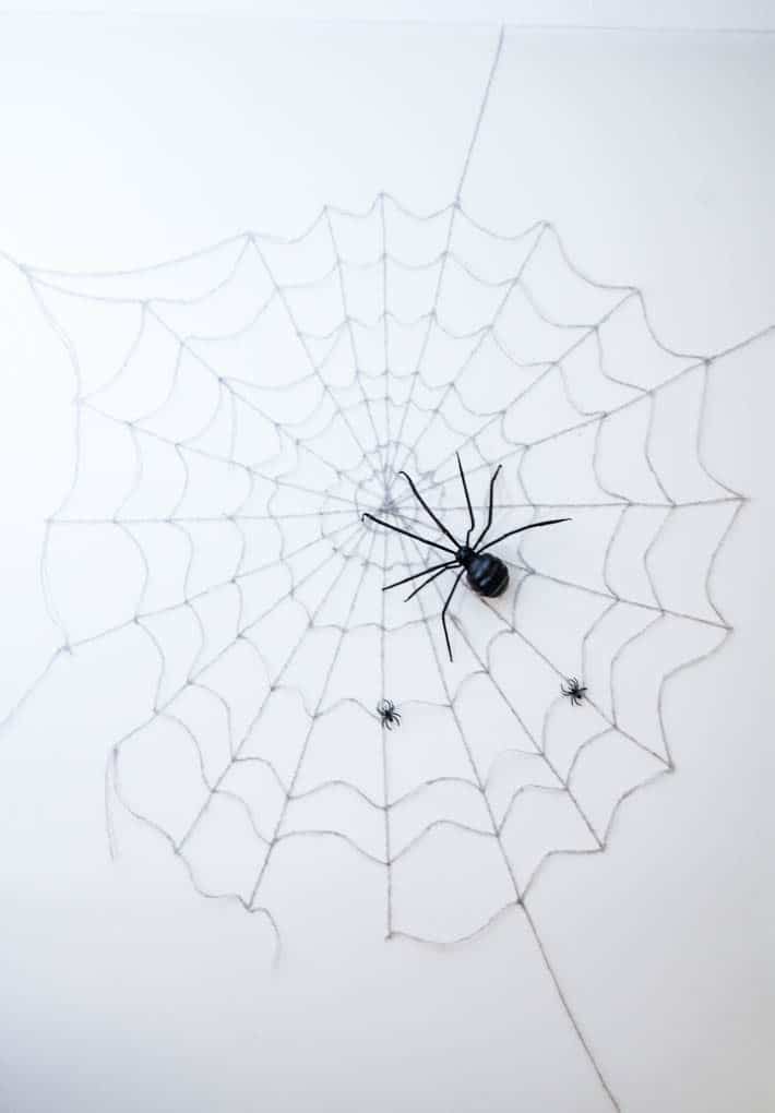 Massive Halloween spider web on white wall with huge spider.