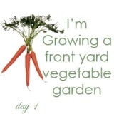 My Big Spring Project.  Front Yard Vegetable Garden – Day 1
