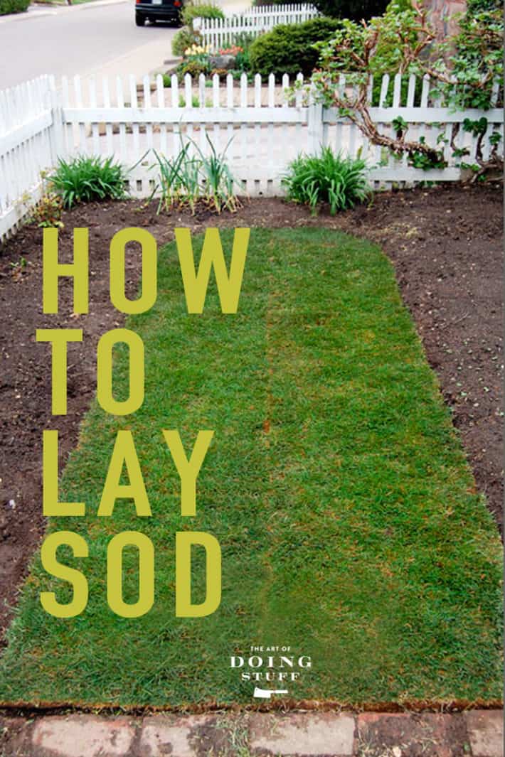 How to Lay Sod for a Beautiful Lawn