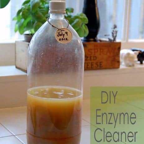 homemade enzymatic cleaner for dog urine