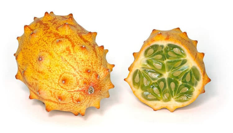 800px-Kiwano_2009