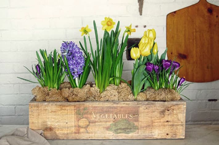 Rustic planter box with image of vegetables printed on the wood.