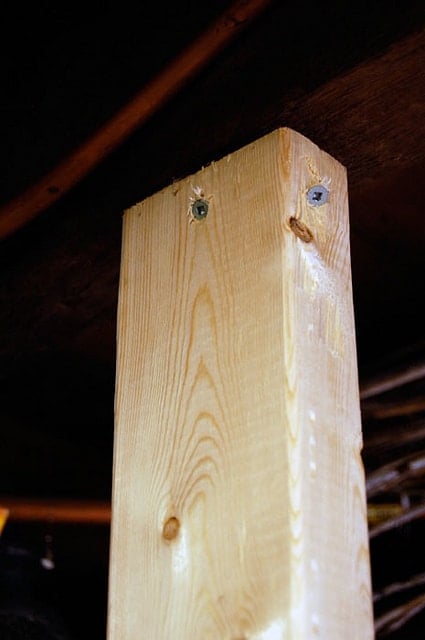 Basement Shelves19