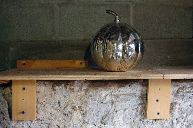 Basement Shelves7