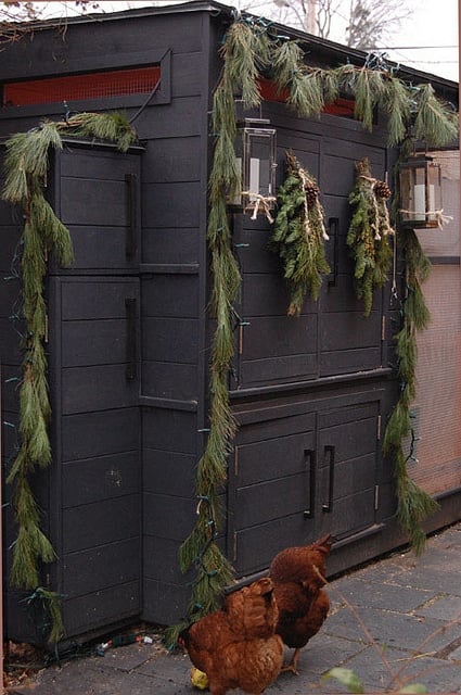 Chicken Coop Decorated for Christmas