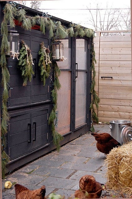 Chicken Coop Decorated for Christmas