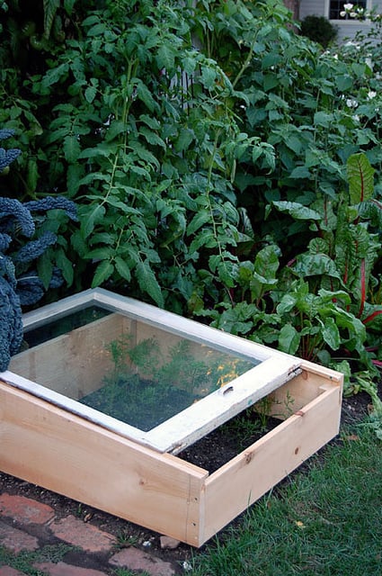 Cold Frame In Garden 2