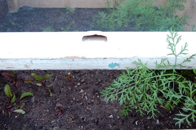 Cold Frame In Garden 4