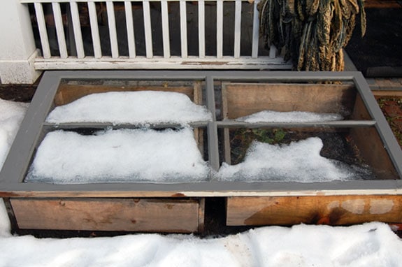 Cold Frame In Winter 1