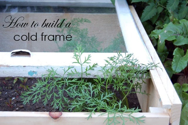 Cold Frame