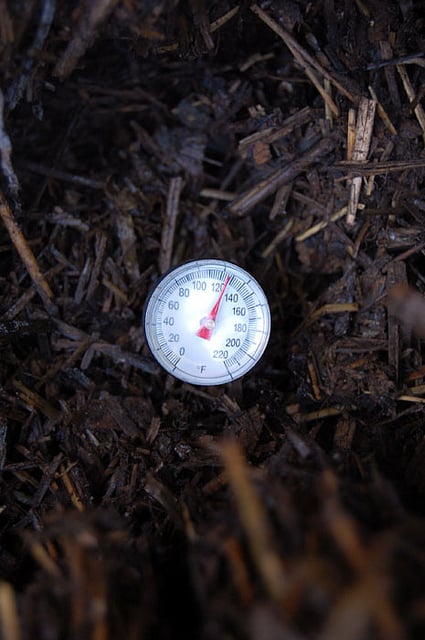 Thermometer stuck into the centre of a compost pile showing a temperature of 129 degrees Fahrenheit. 