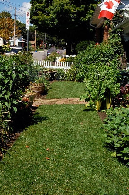 Front Yard Vegetable Garden