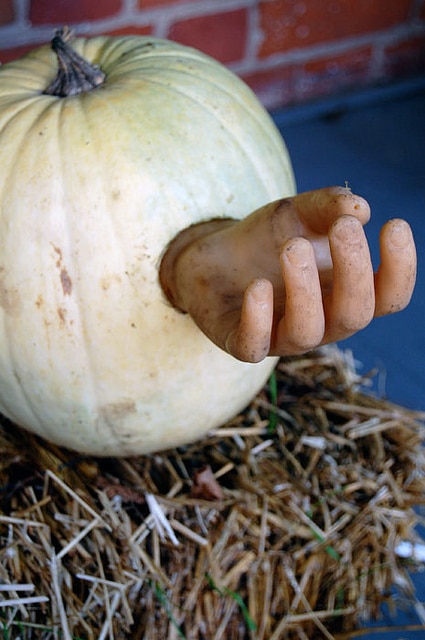 A dirty, plastic doll hand sticks out of the side of a white pumpkin sitting on a bale of straw.