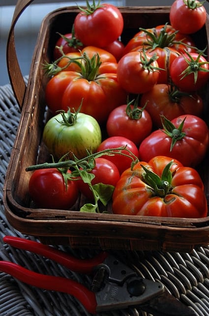 Heirloom Tomatoes