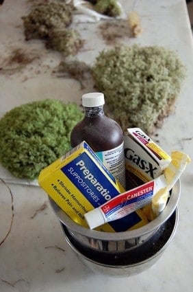 How To Preserve Moss 10