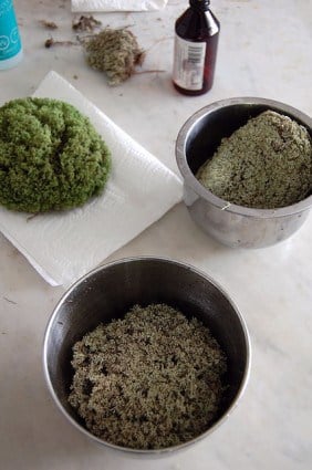 How To Preserve Moss 6