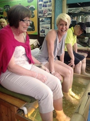 Karen Gets A- Fish Pedicure