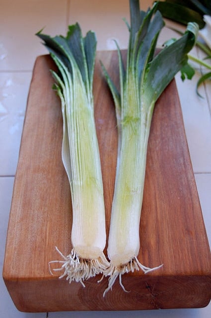 Leek 2