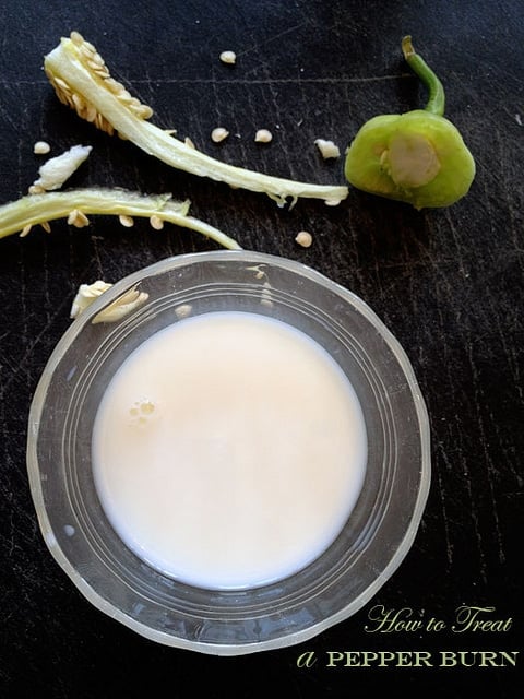 A glass bowl filled with milk with pepper membranes and seeds in the background.