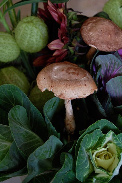 Mushrooms In Flower Arrangement