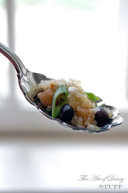 Quinoa Salad Spoon