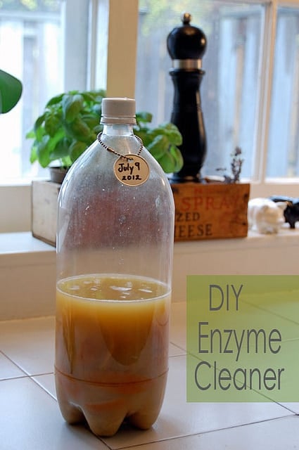 homemade enzymatic cleaner for dog urine