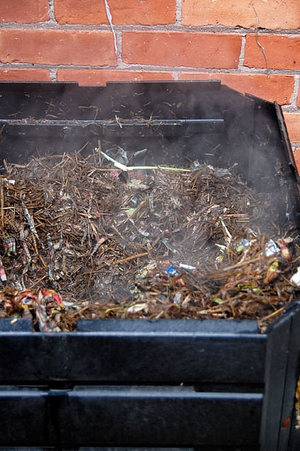 Straw, newspaper and chicken droppings turning into steaming compost in a square compost bin. 