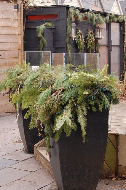 Chicken Coop Decorated for Christmas