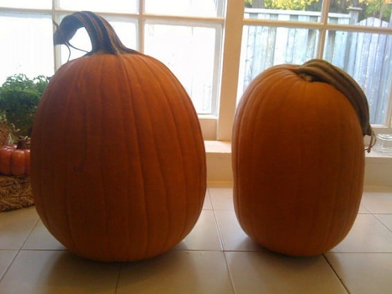 Whole pumpkins