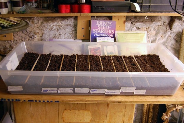 Winter Sowing 9
