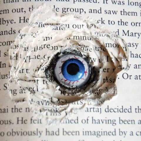 Eyes In Book 9