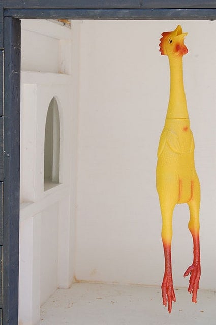 rubber chicken