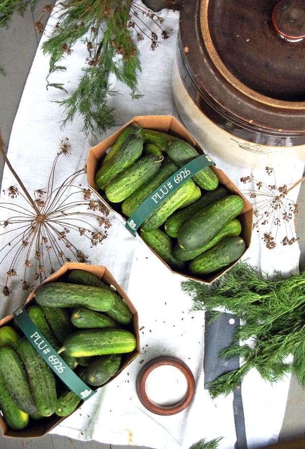 Overhead shot of antique crock, baskets of cucumbers, salt and heads of dill laid on white tea towel.