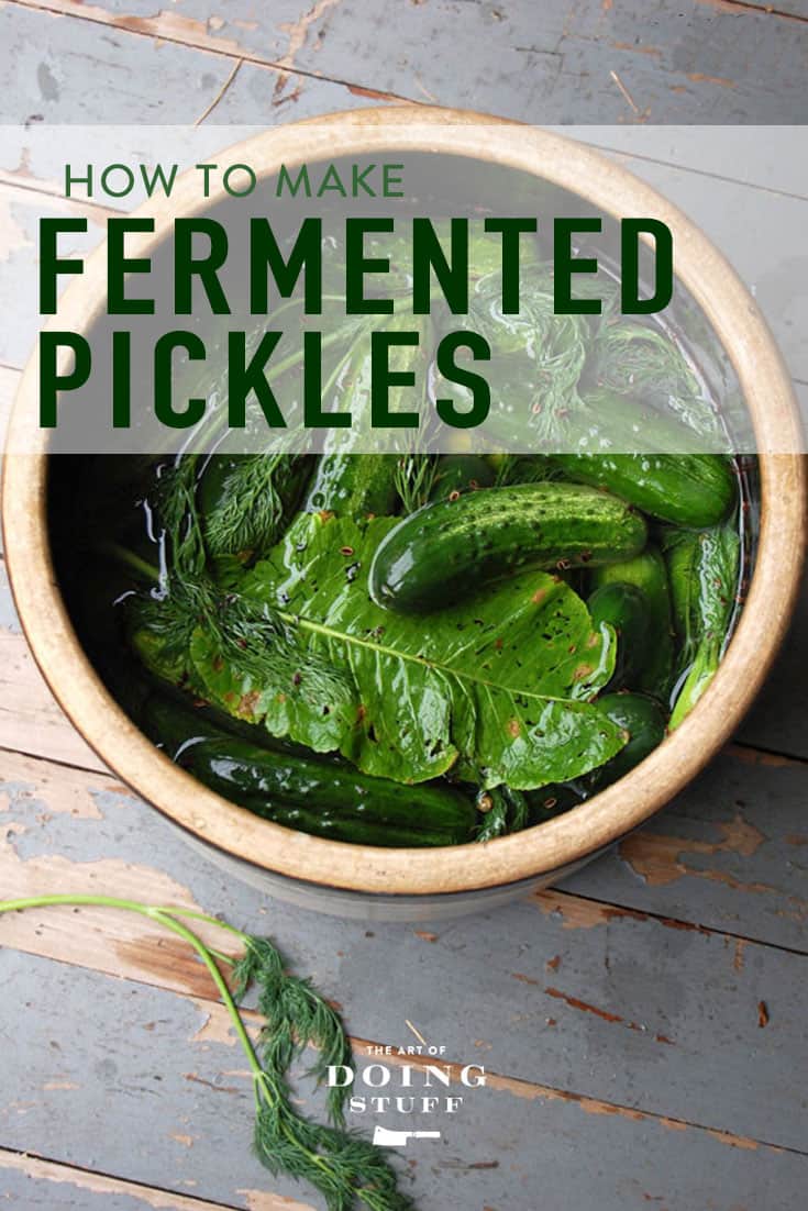 Fermented Pickles.  The Ultimate Guide to Kosher Dills.