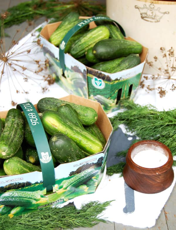 Two baskets of fresh pickling cucumbers set on a white tea towel with antique crock in the background and dill laid about.